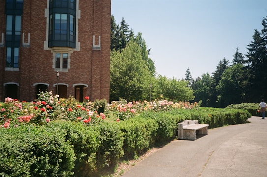 A campus-like environment with a large brick building featuring tall windows. A path leads through well-maintained gardens filled with colorful roses and green hedges. Trees line the area, providing a serene and natural backdrop.