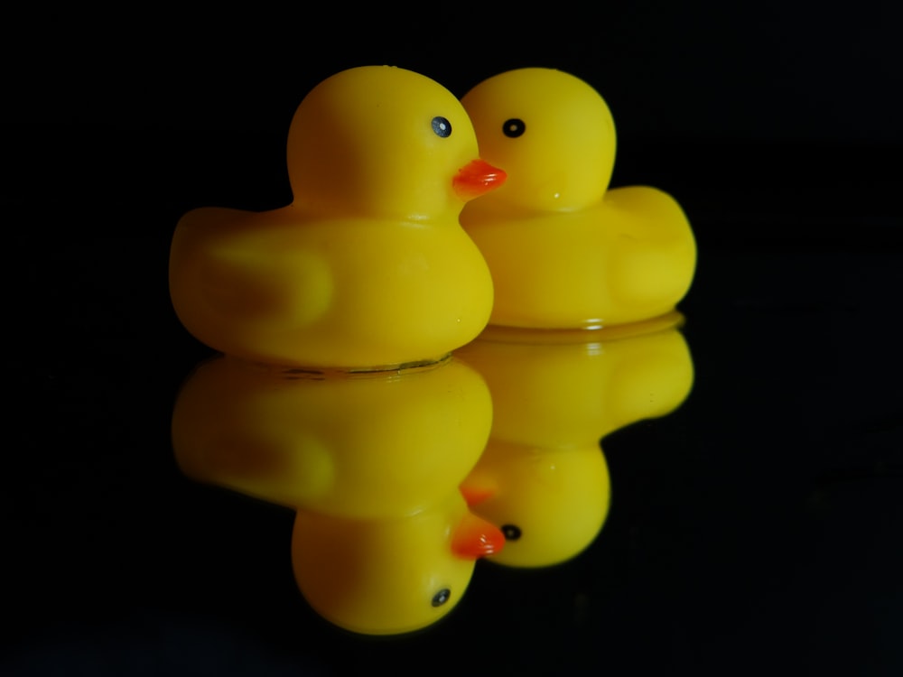 two yellow rubber ducks sitting next to each other