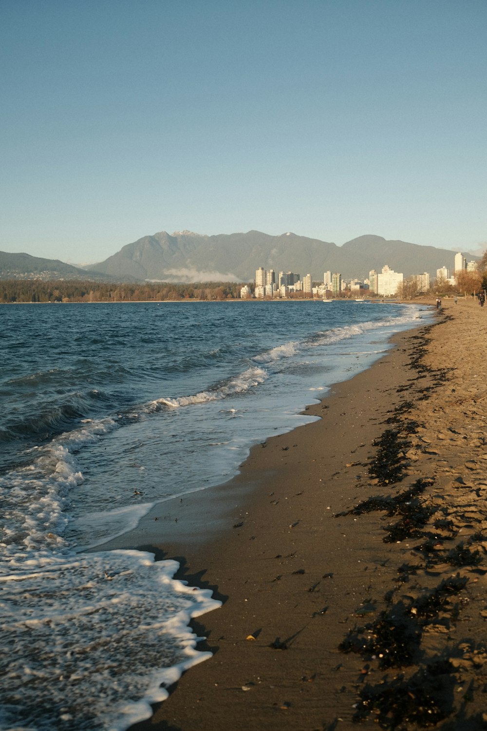 une plage qui a quelques vagues qui entrent sur le rivage