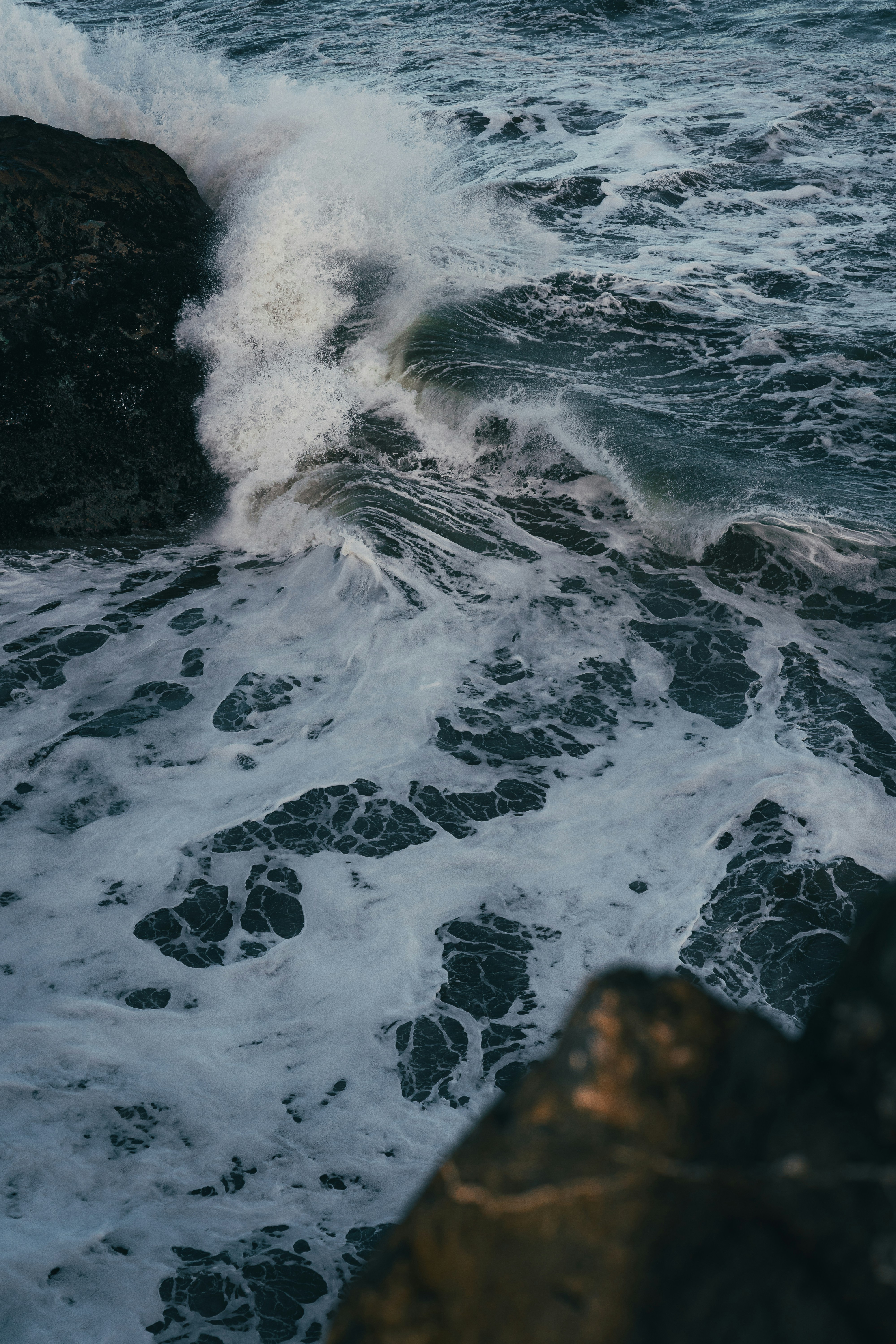 Photo by kalaniparker