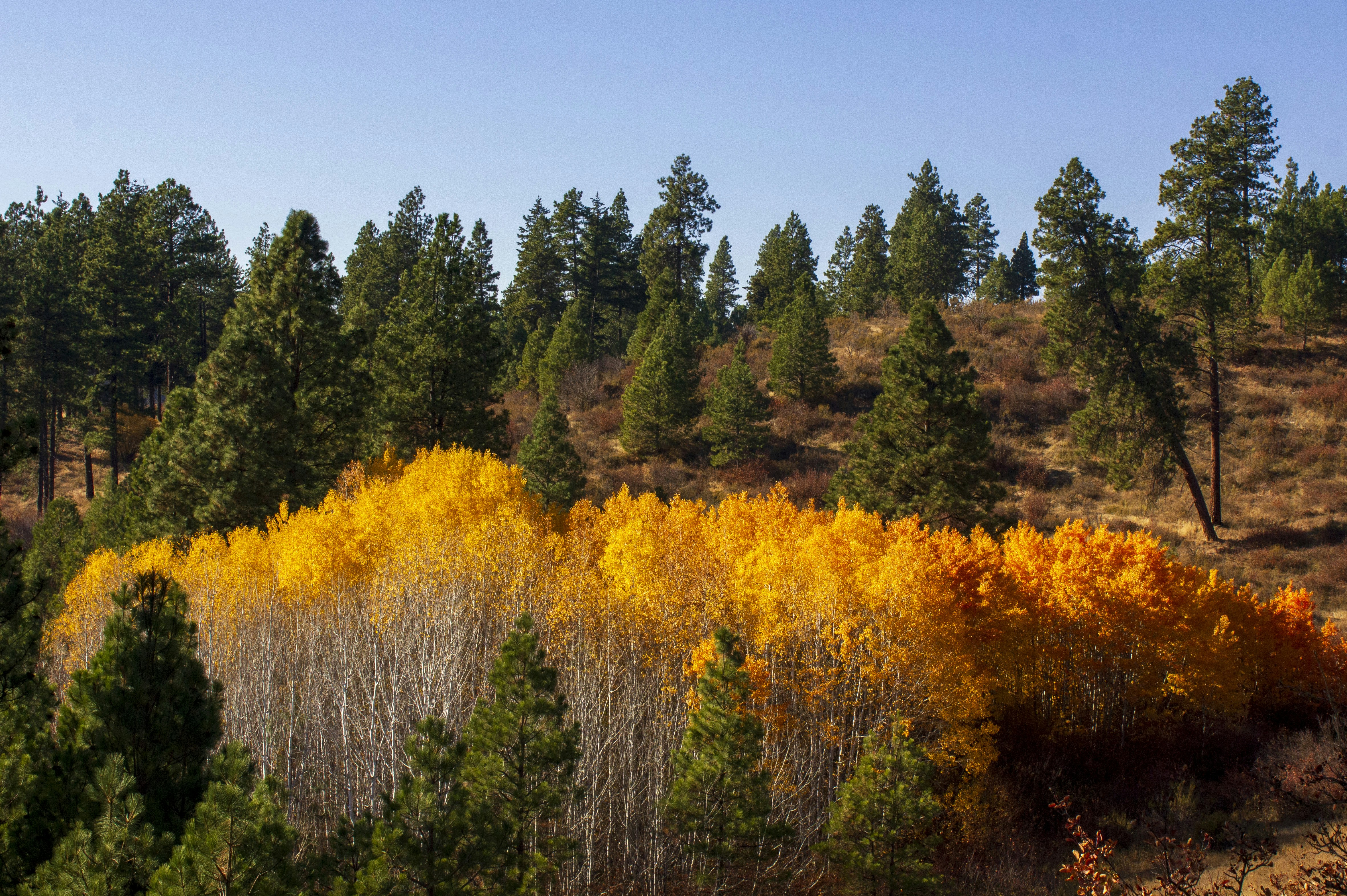 Photo by coramaureen