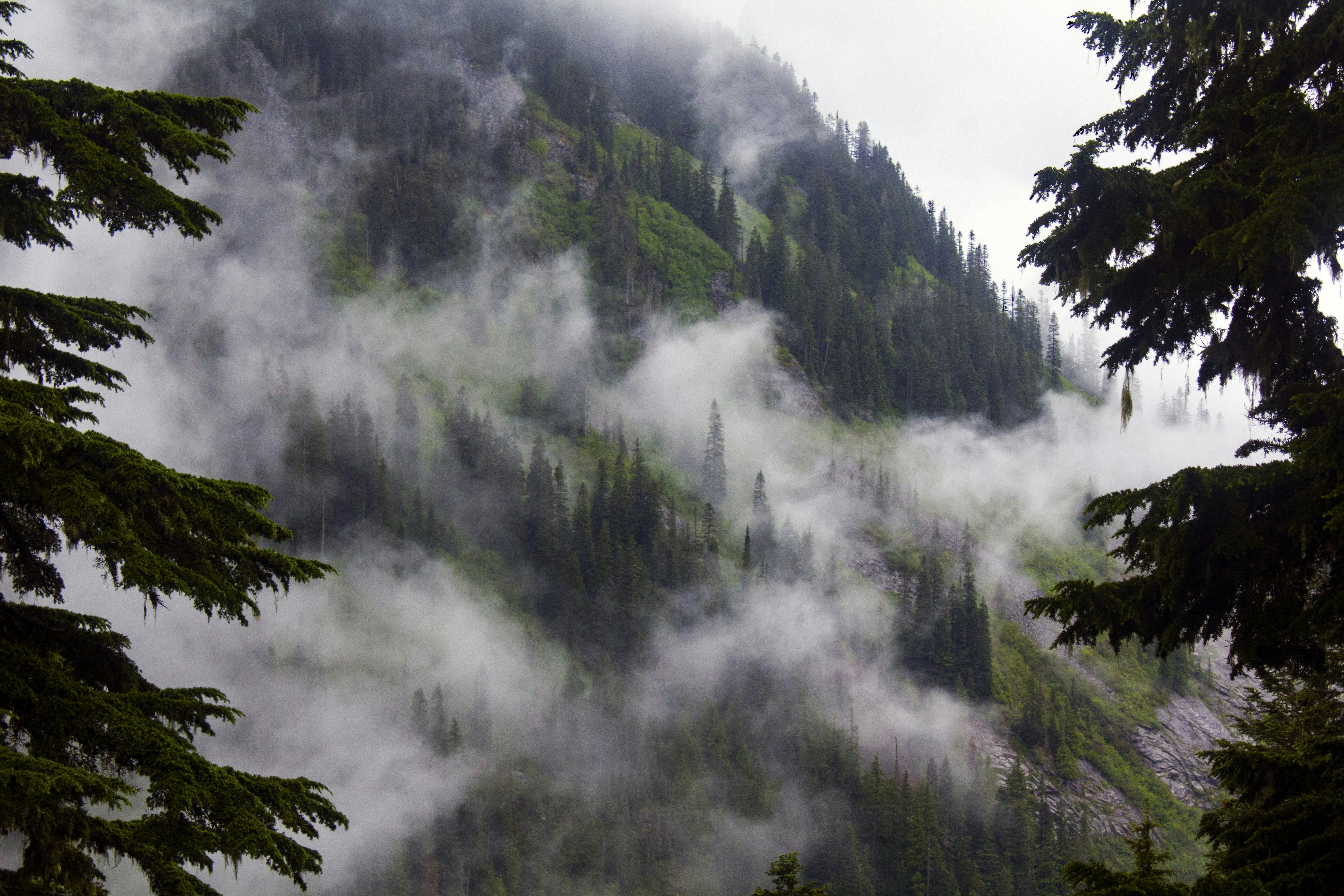 Photo by coramaureen