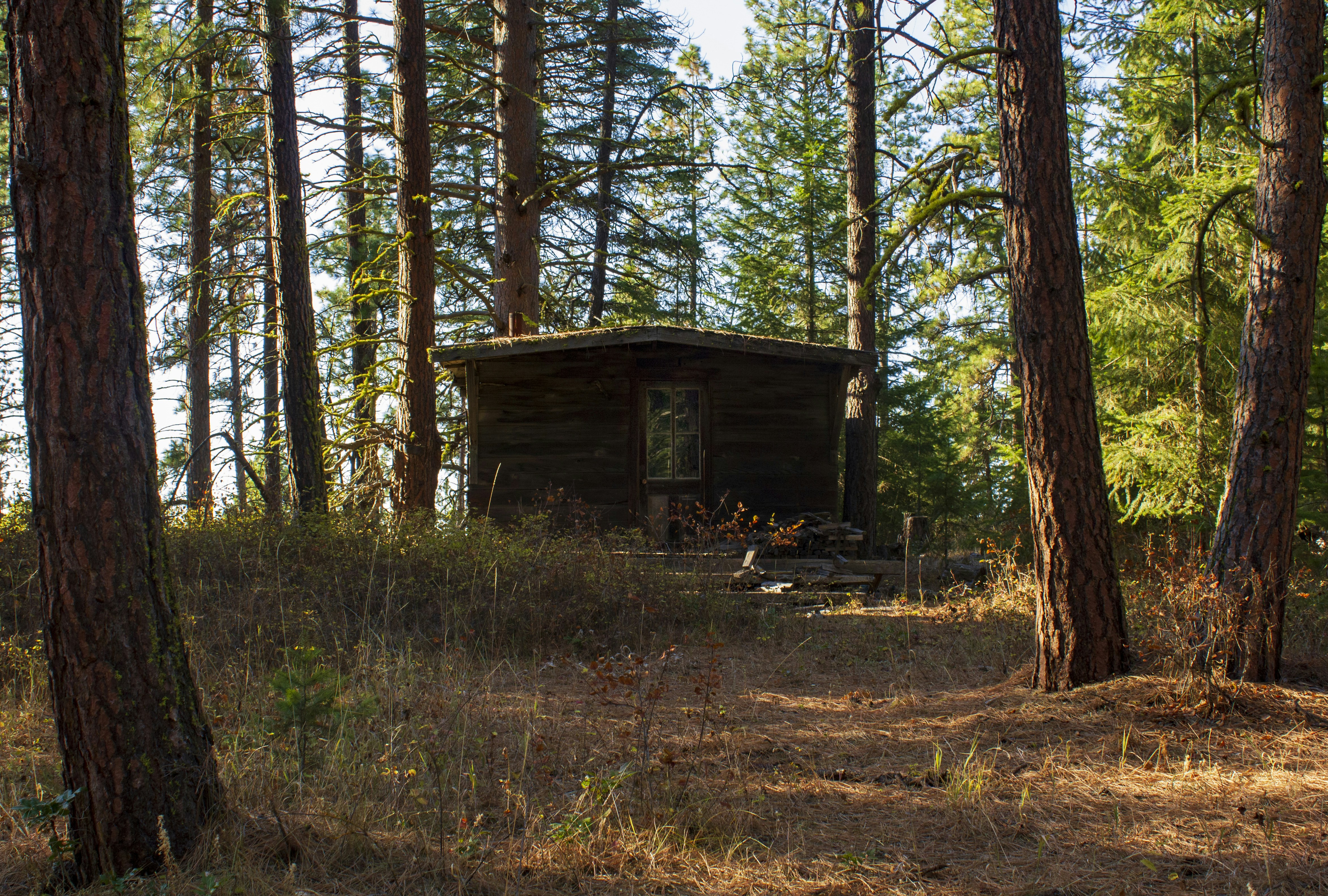 Photo by coramaureen