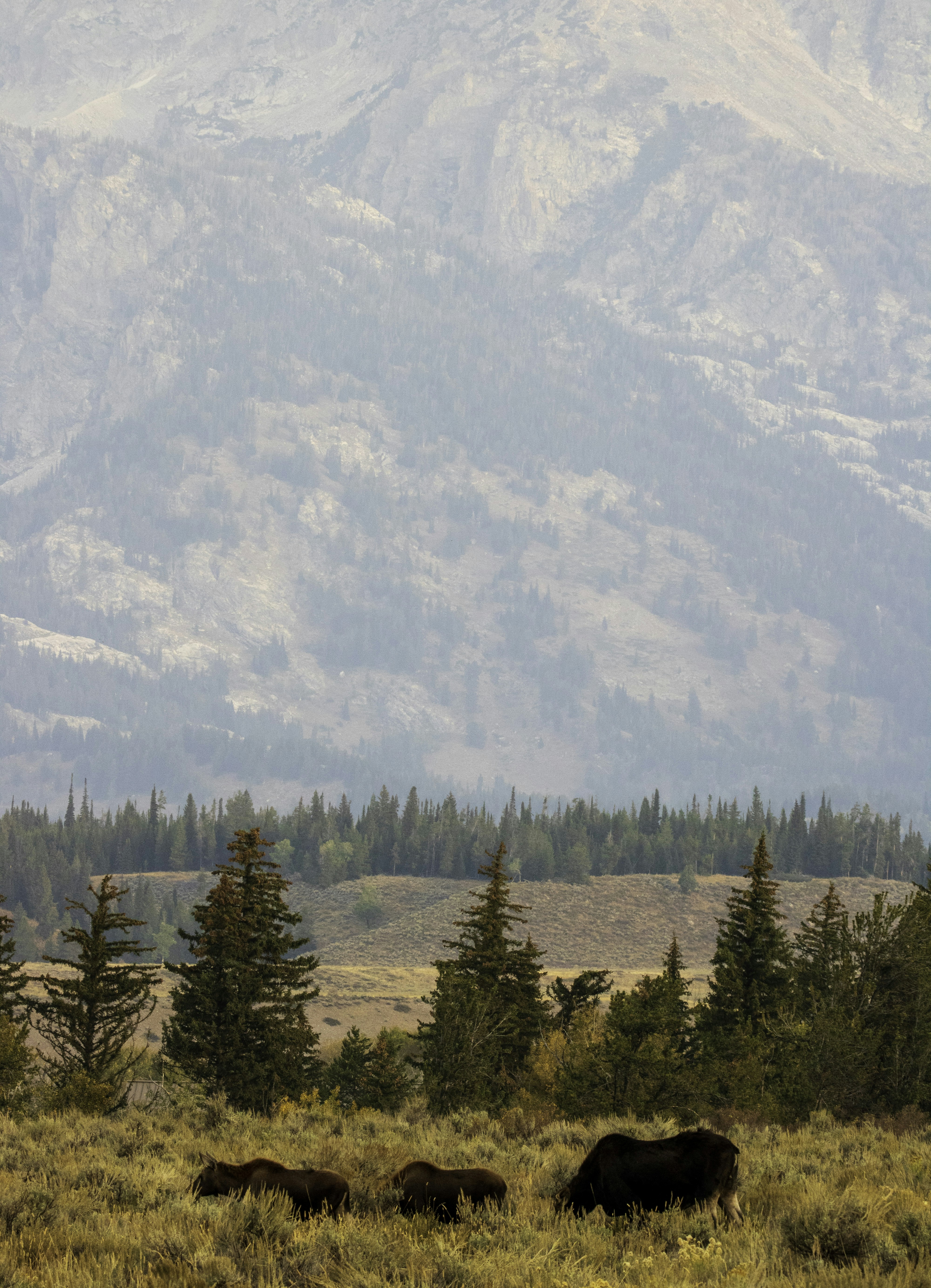 Photo by coramaureen