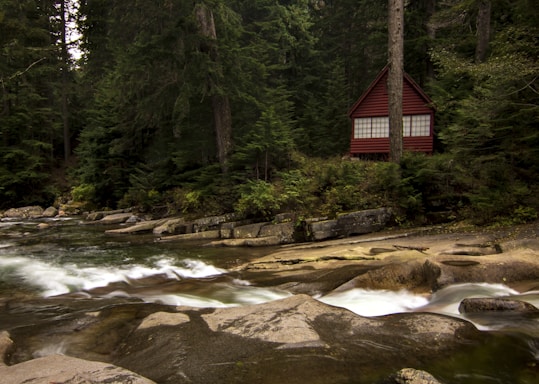 A small red cabin is nestled among tall evergreen trees by a river with smooth rocks and flowing water. The scene is serene and surrounded by thick forest.