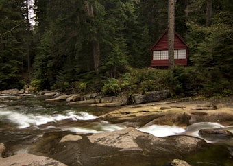 A small red cabin is nestled among tall evergreen trees by a river with smooth rocks and flowing water. The scene is serene and surrounded by thick forest.