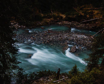 Calm river flowing through a quiet forest, evoking tranquility and balance.