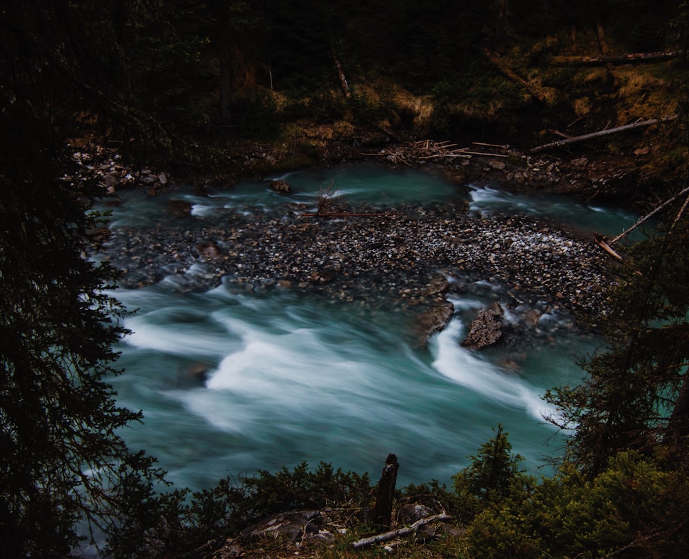 a river running through a forest filled with trees