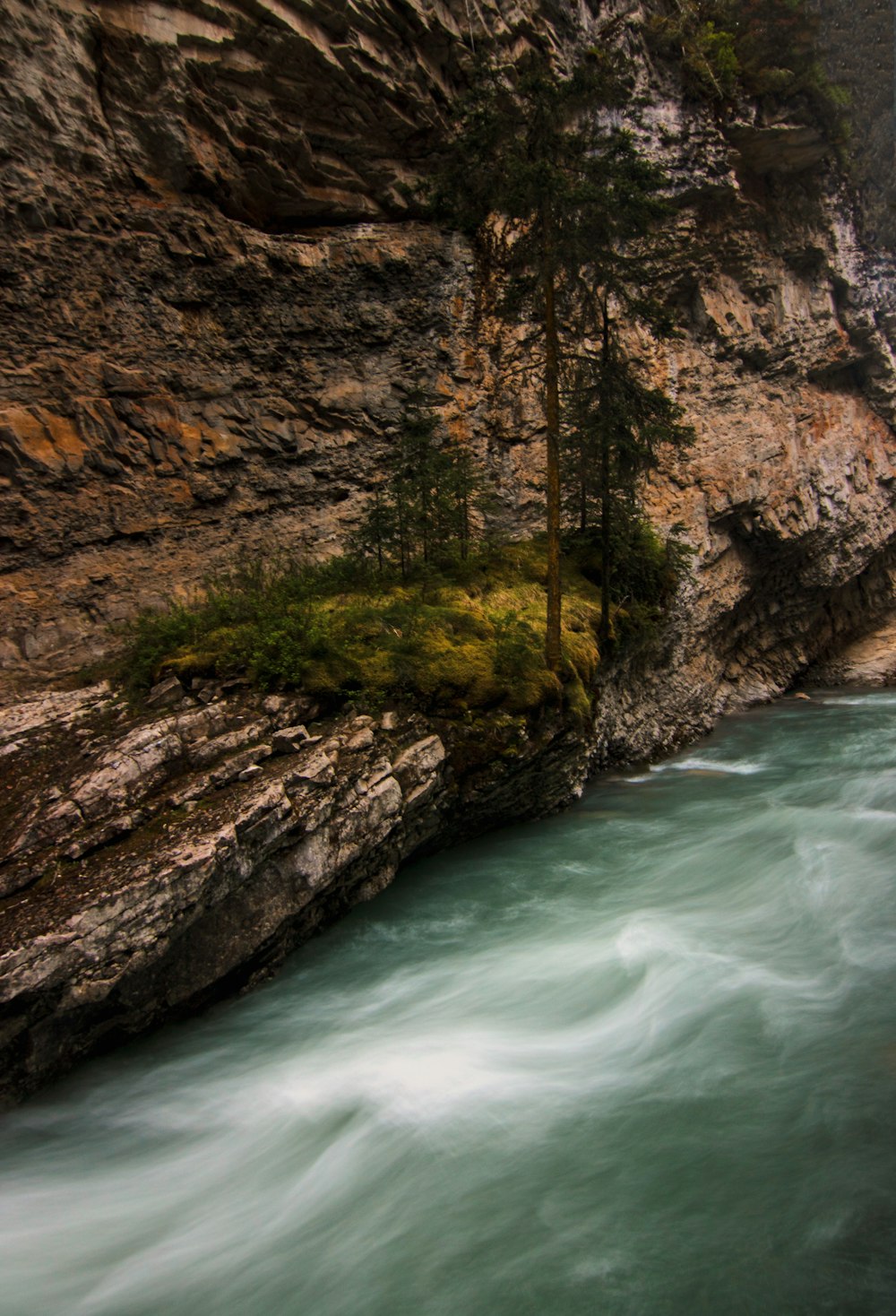 a river running through a rocky canyon next to a forest