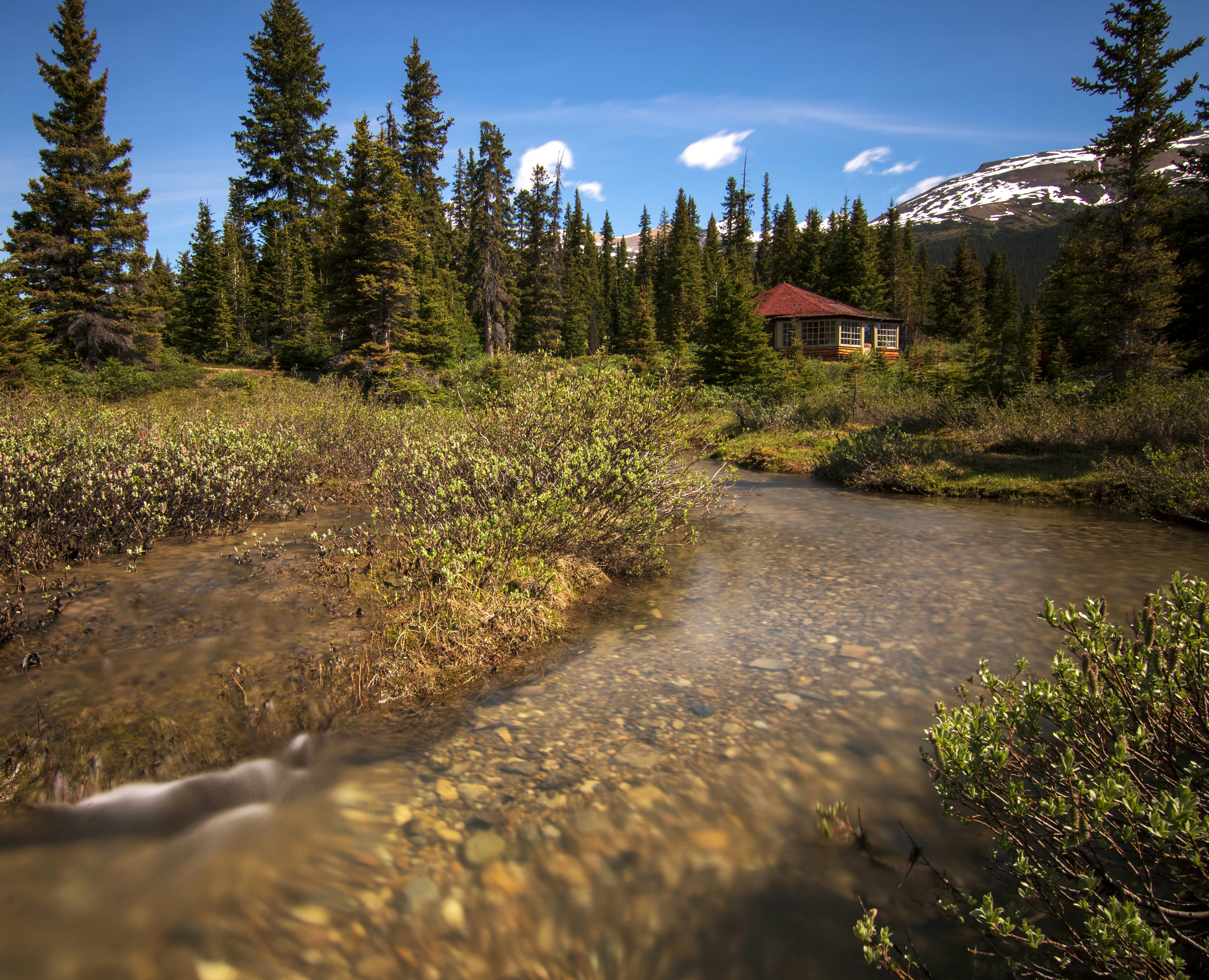 Photo by coramaureen