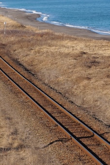 A set of railway tracks runs parallel to a coastline, with the ocean visible on the right side. The surrounding area is covered with dry, brown grass, and the tracks are laid on a gravel bed. The shoreline curves gently, with waves softly breaking onto the beach.