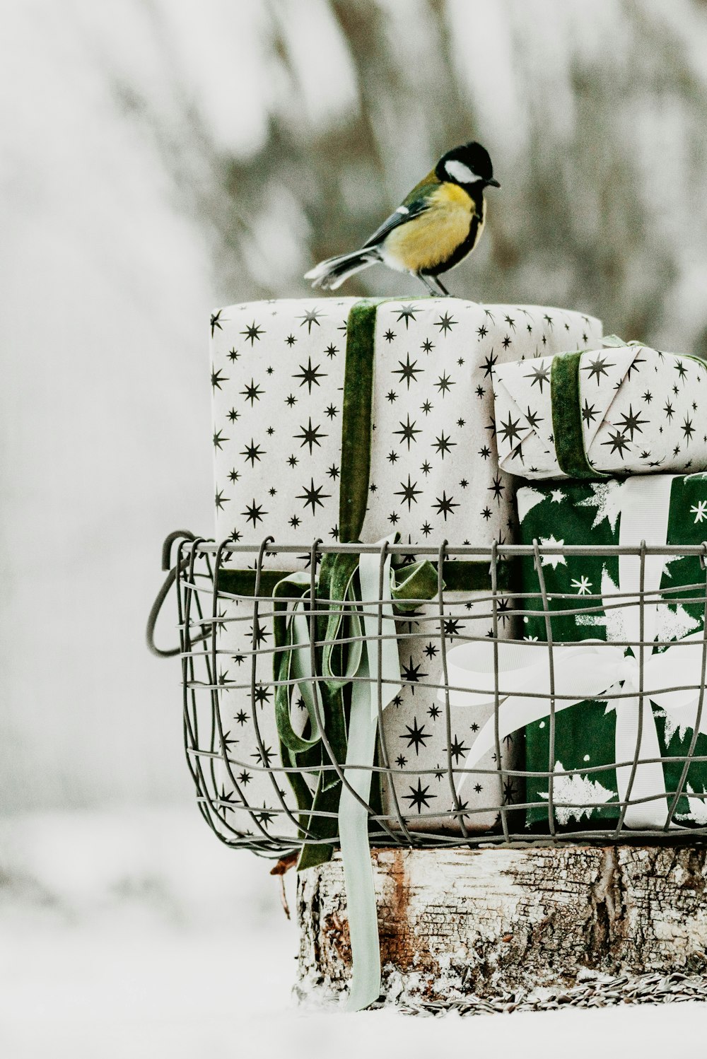 a bird sitting on top of a pile of wrapped presents