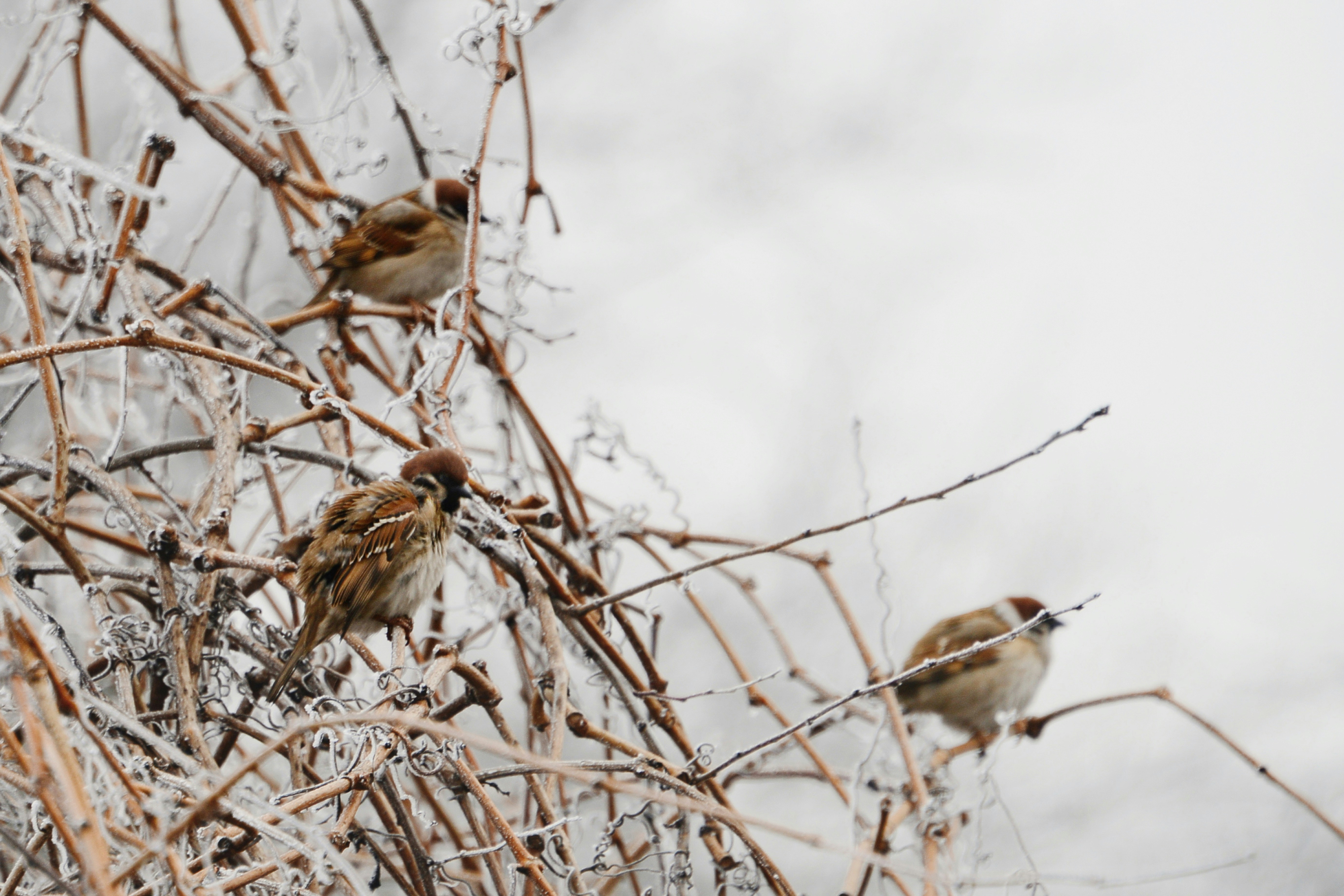 Photo by anitaaustvika