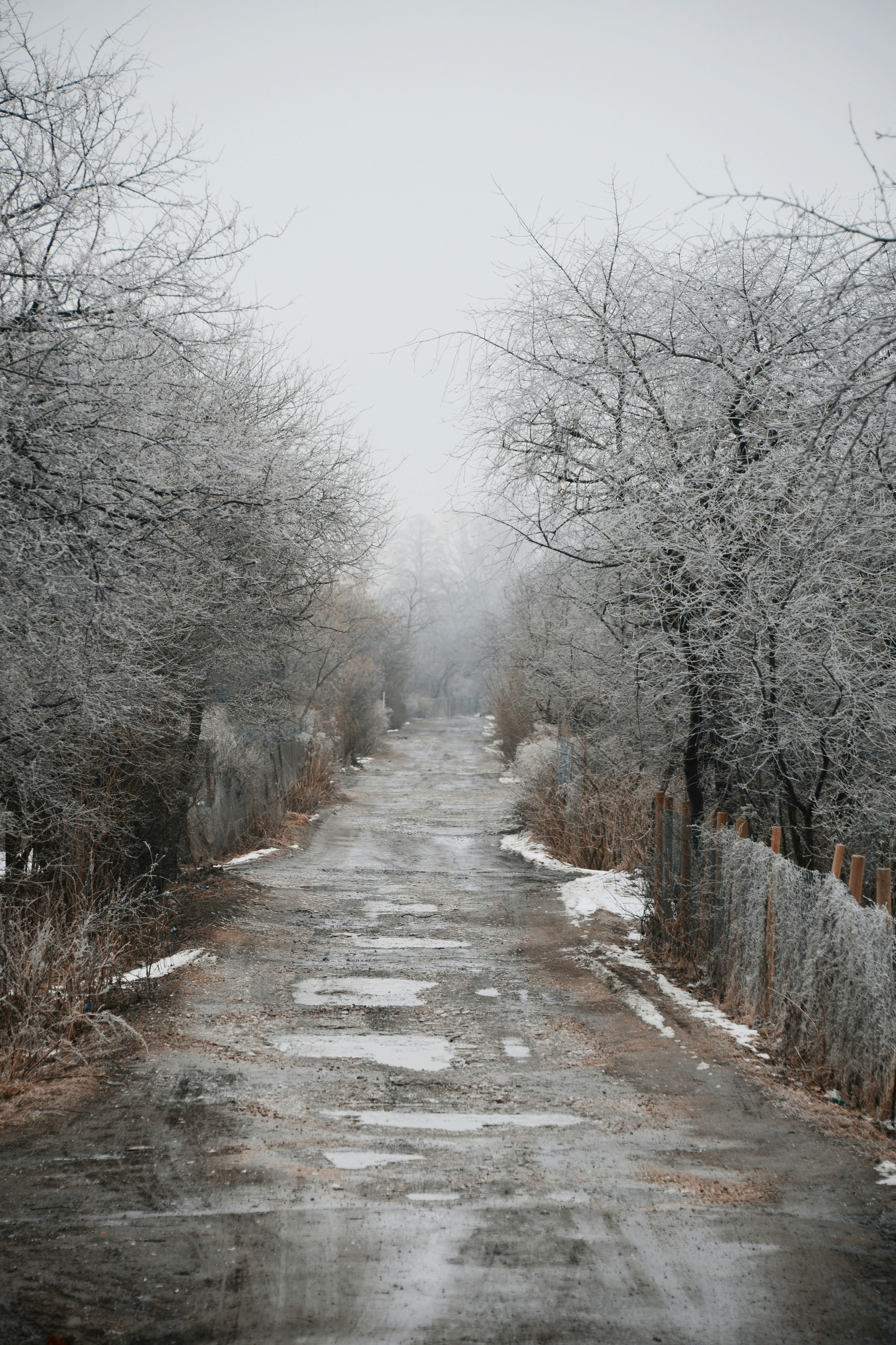 Photo by anitaaustvika