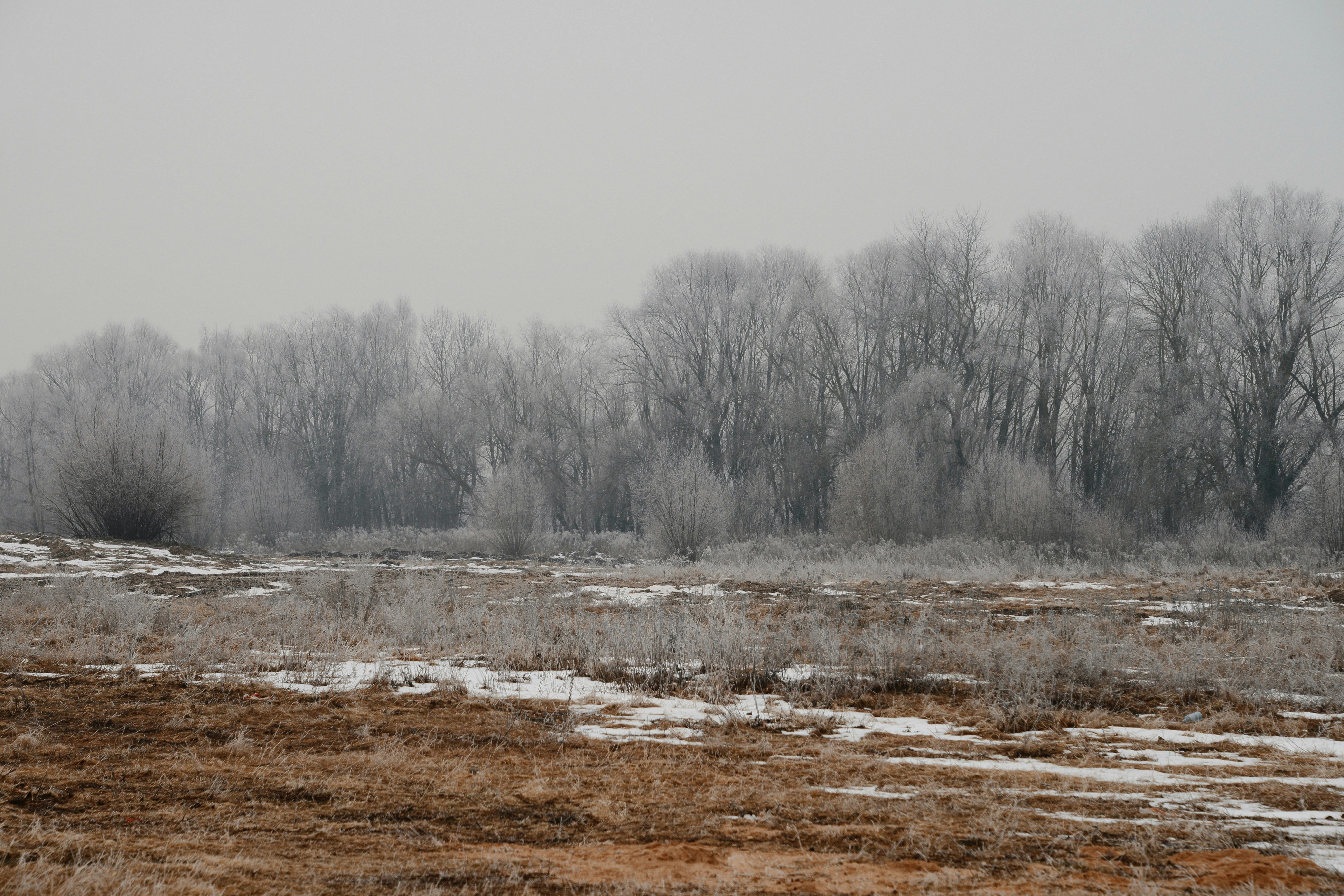 Photo by anitaaustvika