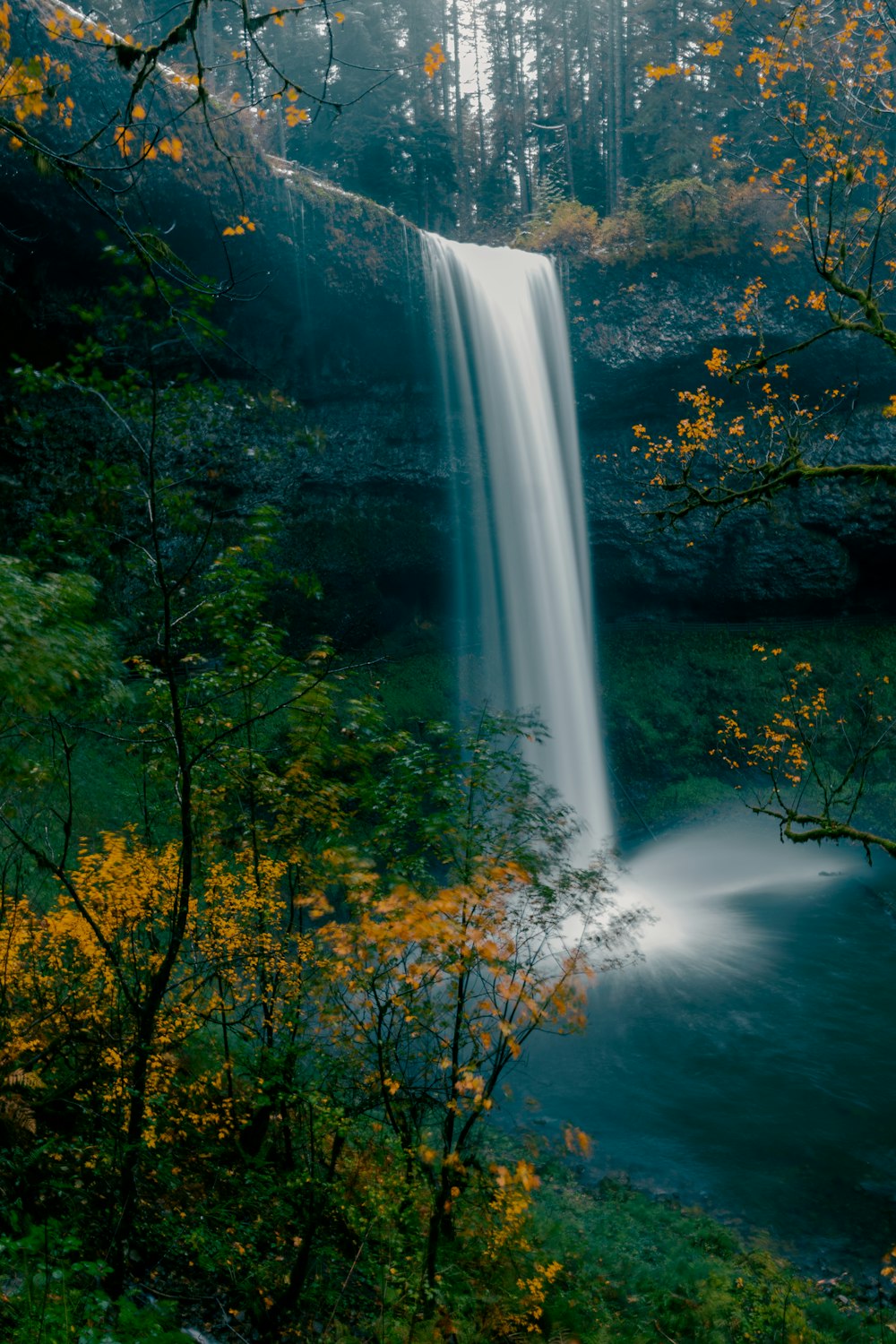 a waterfall in the middle of a forest