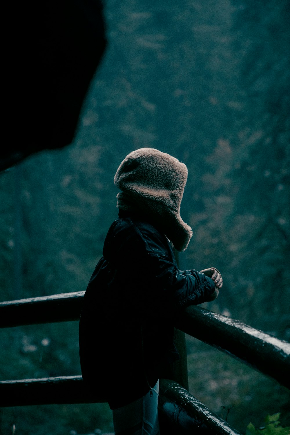 a person standing on a railing looking down at a forest