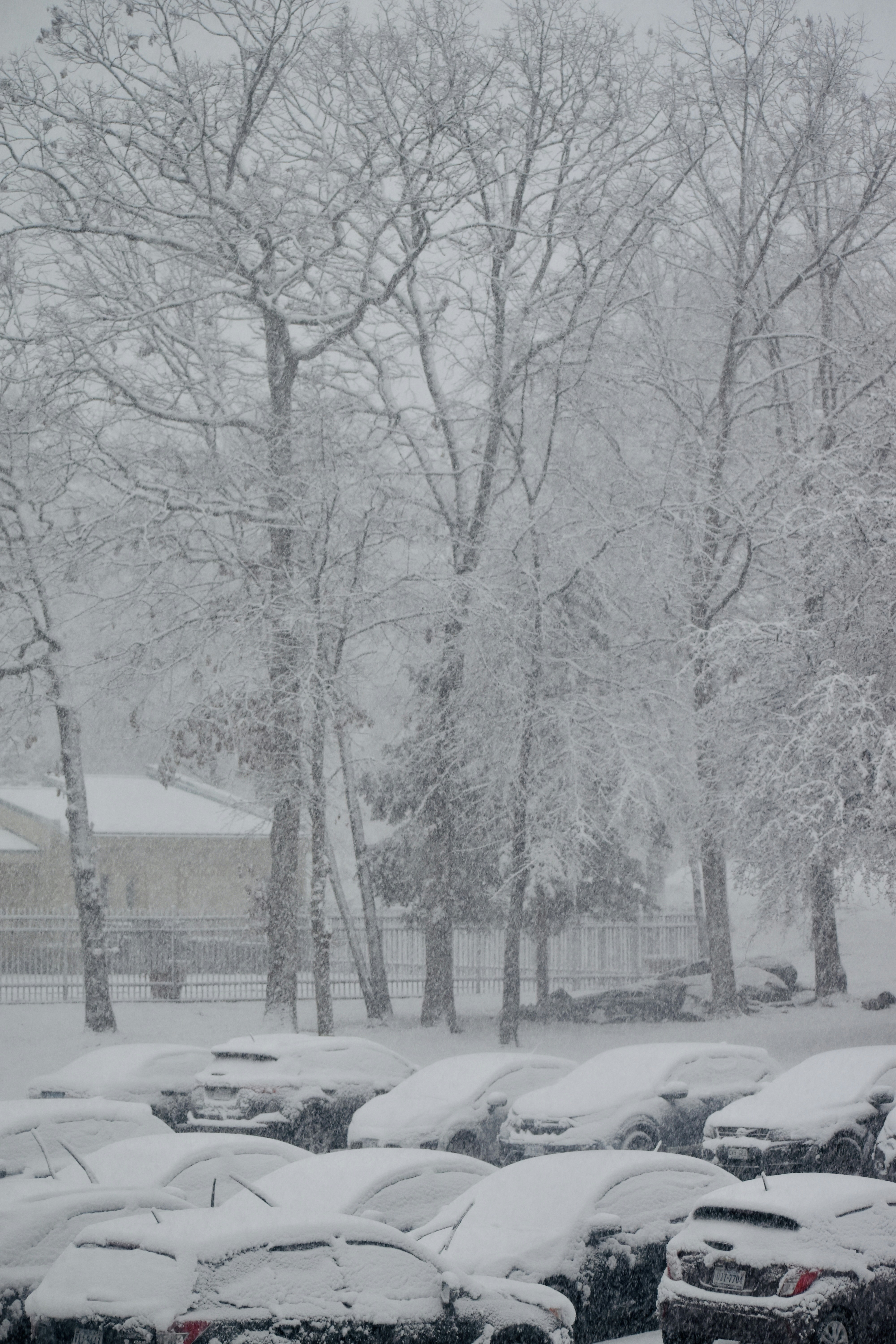 Photo by chitrasara93