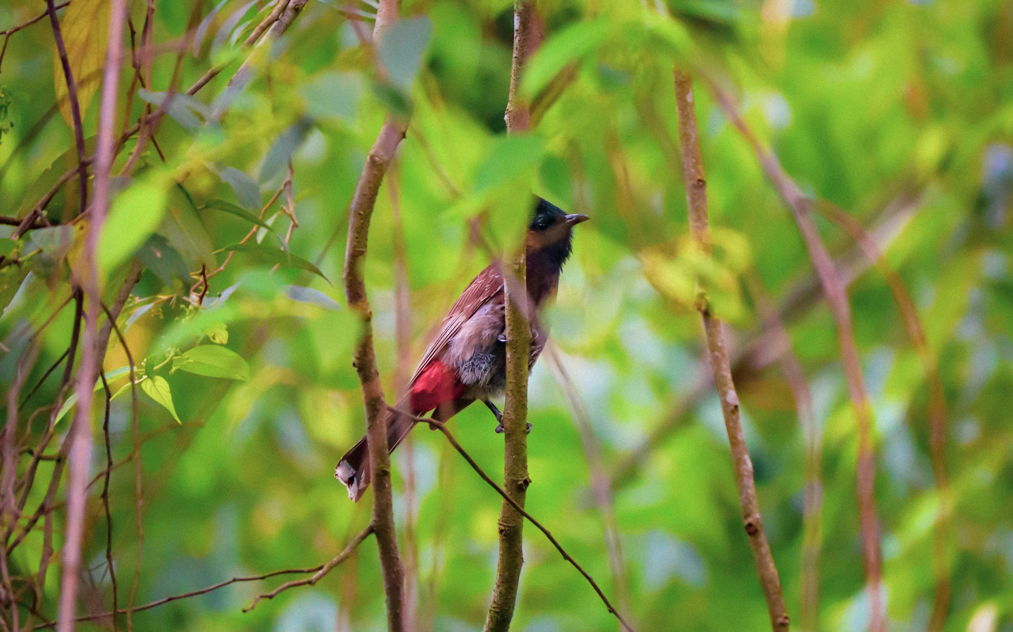 Photo by soonamwooeser