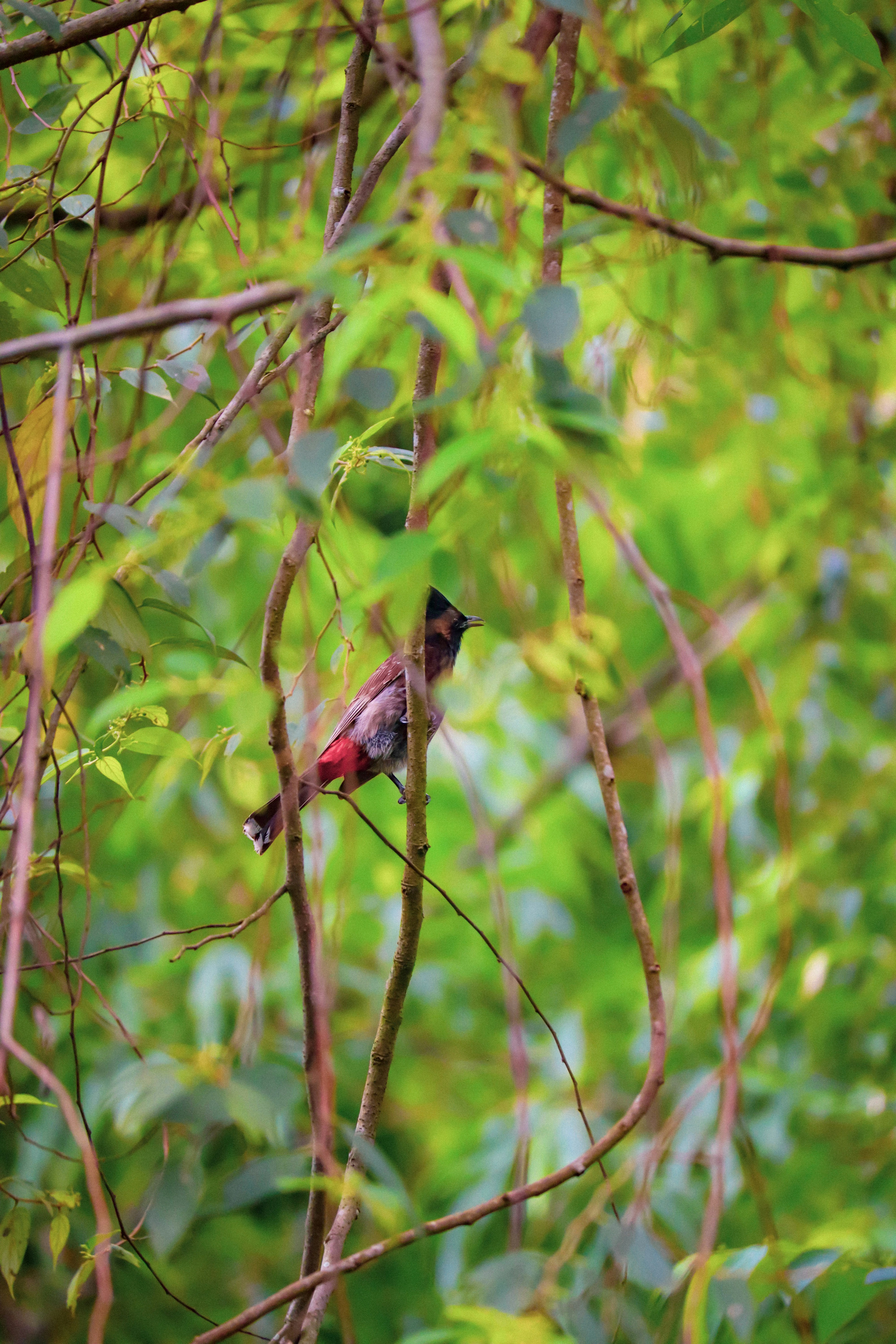 Photo by soonamwooeser