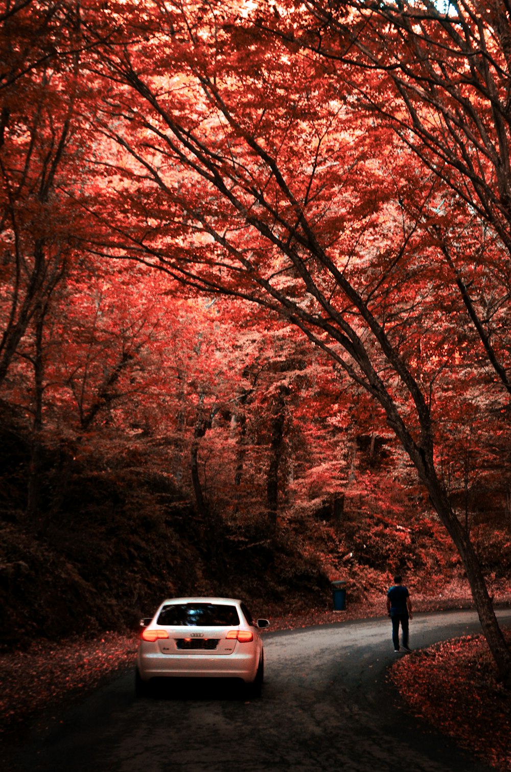 a car parked on the side of a road next to a forest