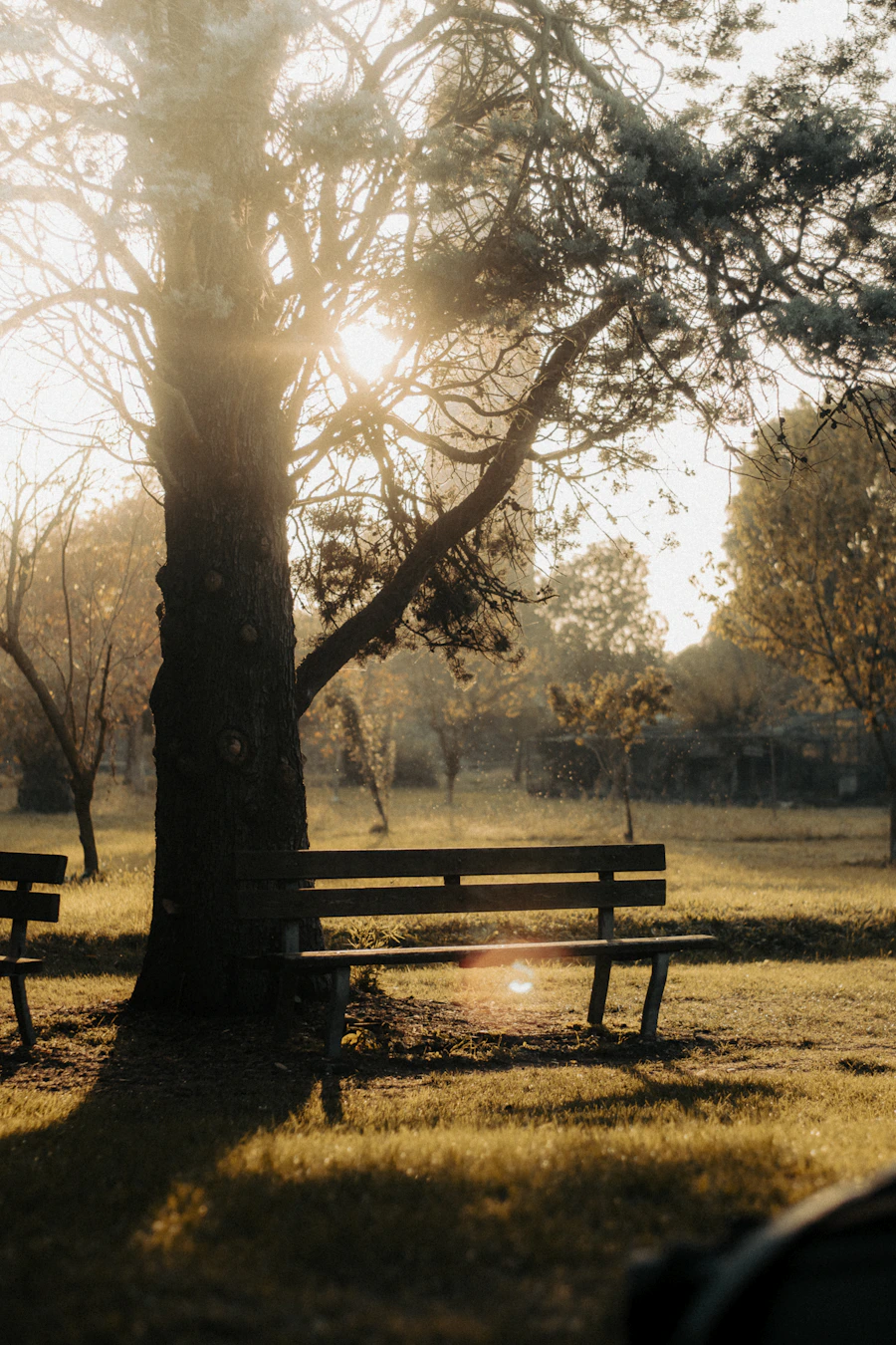 Quiet park bench