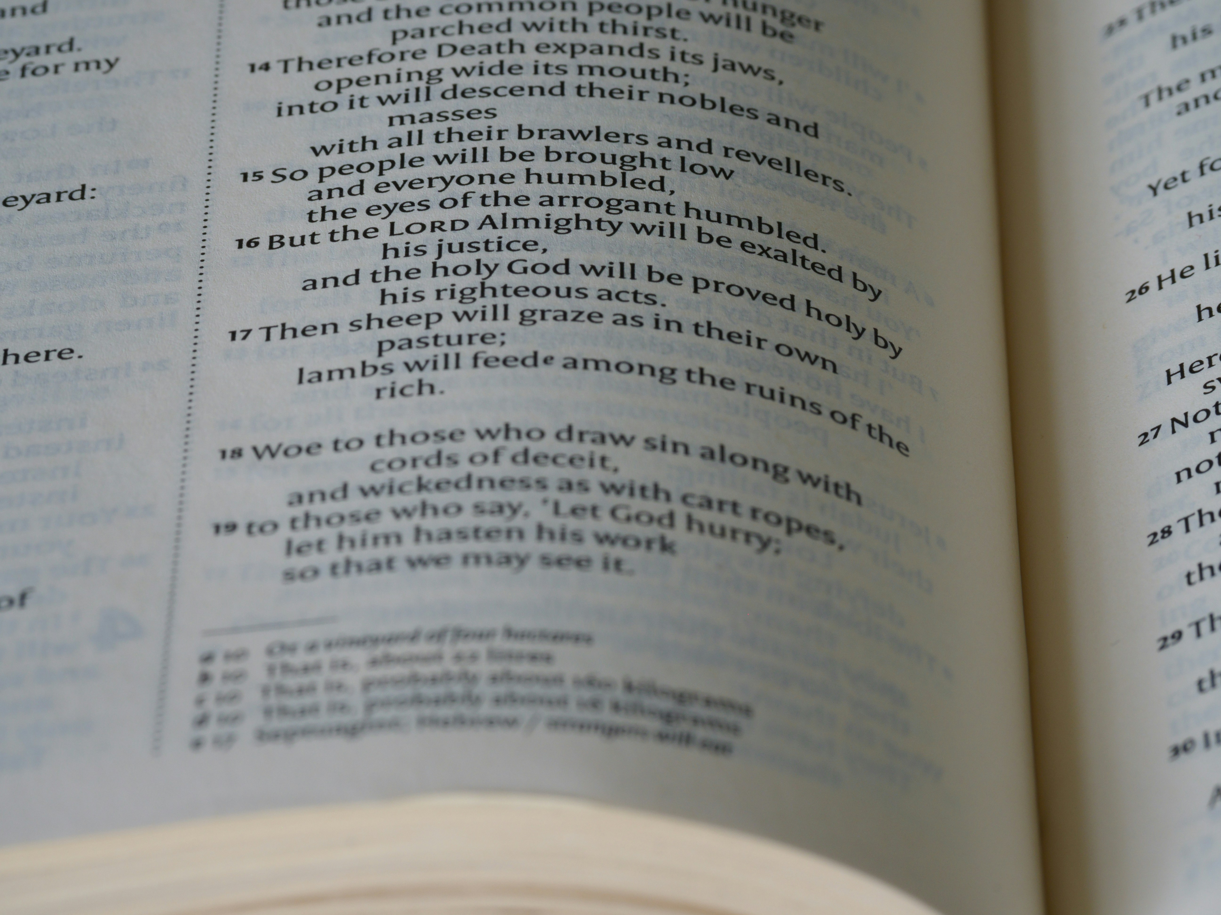 Photo by brett_jordan