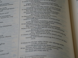 A close-up view of a page from a book, displaying text with a religious or literary context. The text is printed in a serif font, and the page is part of a larger bound volume.