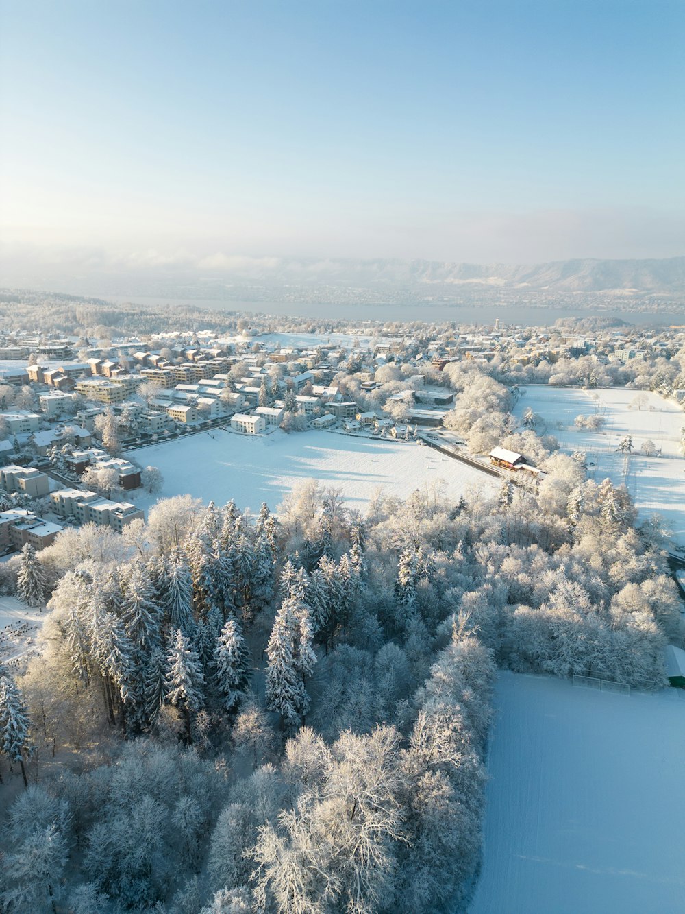 a snowy landscape with trees and houses