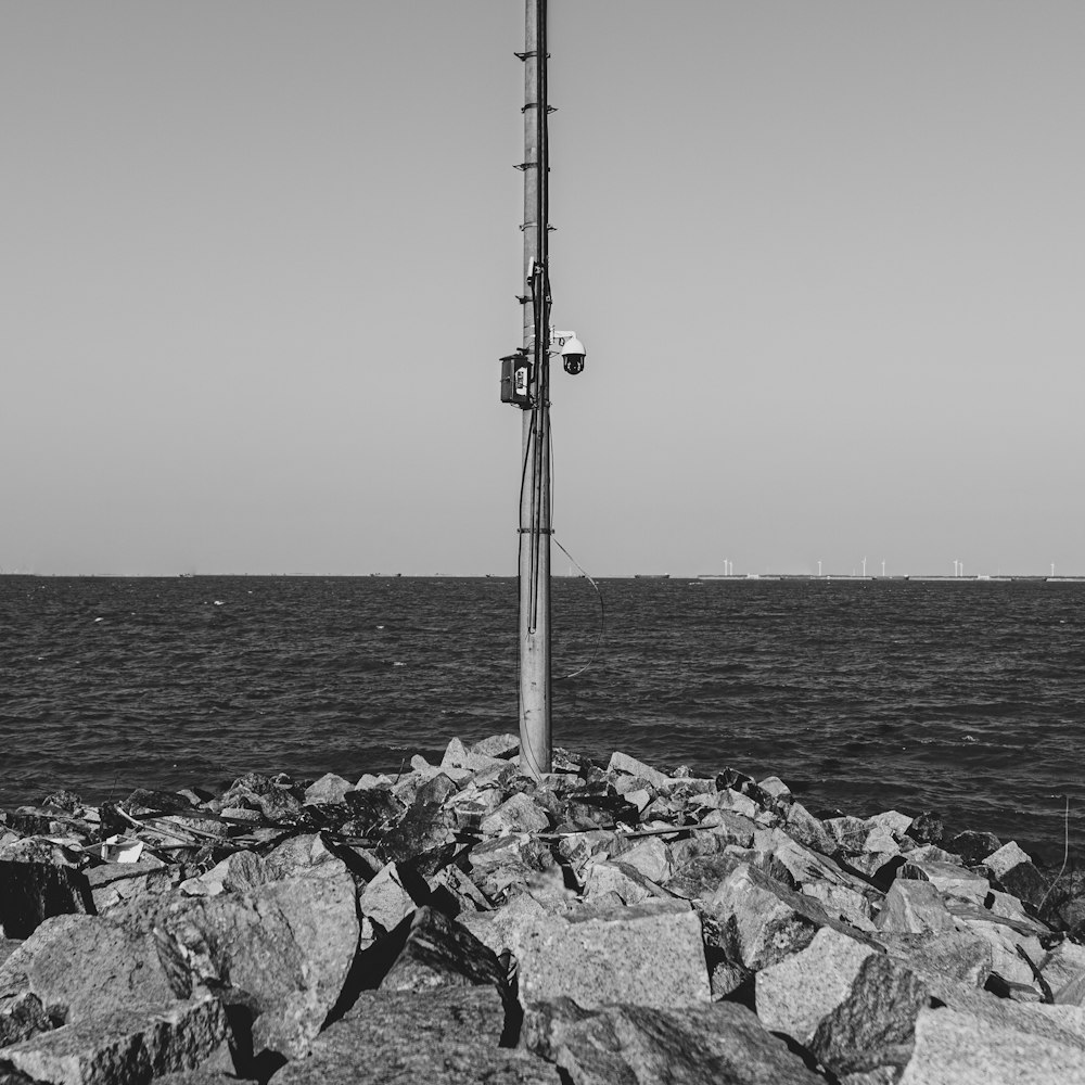 a black and white photo of a light pole