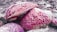 A close-up view of two textured sea sponges resting on a rough, rocky surface. The sponges feature a vibrant mix of pink and white colors with a porous and intricate surface pattern.
