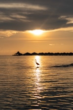 A serene overwater bungalow in Tahiti glowing under a sunset sky.