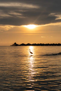 A serene overwater bungalow at sunset with turquoise waters surrounding it.