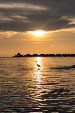 A serene sunset over the Maldives with overwater bungalows reflecting in calm waters.
