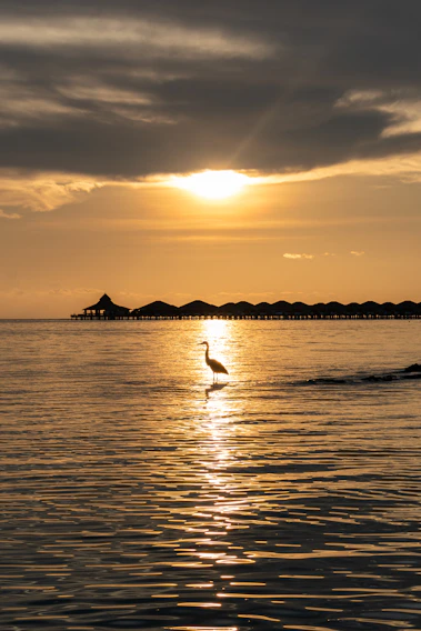 Sunset view over a serene Maldivian overwater bungalow with calm turquoise waters.