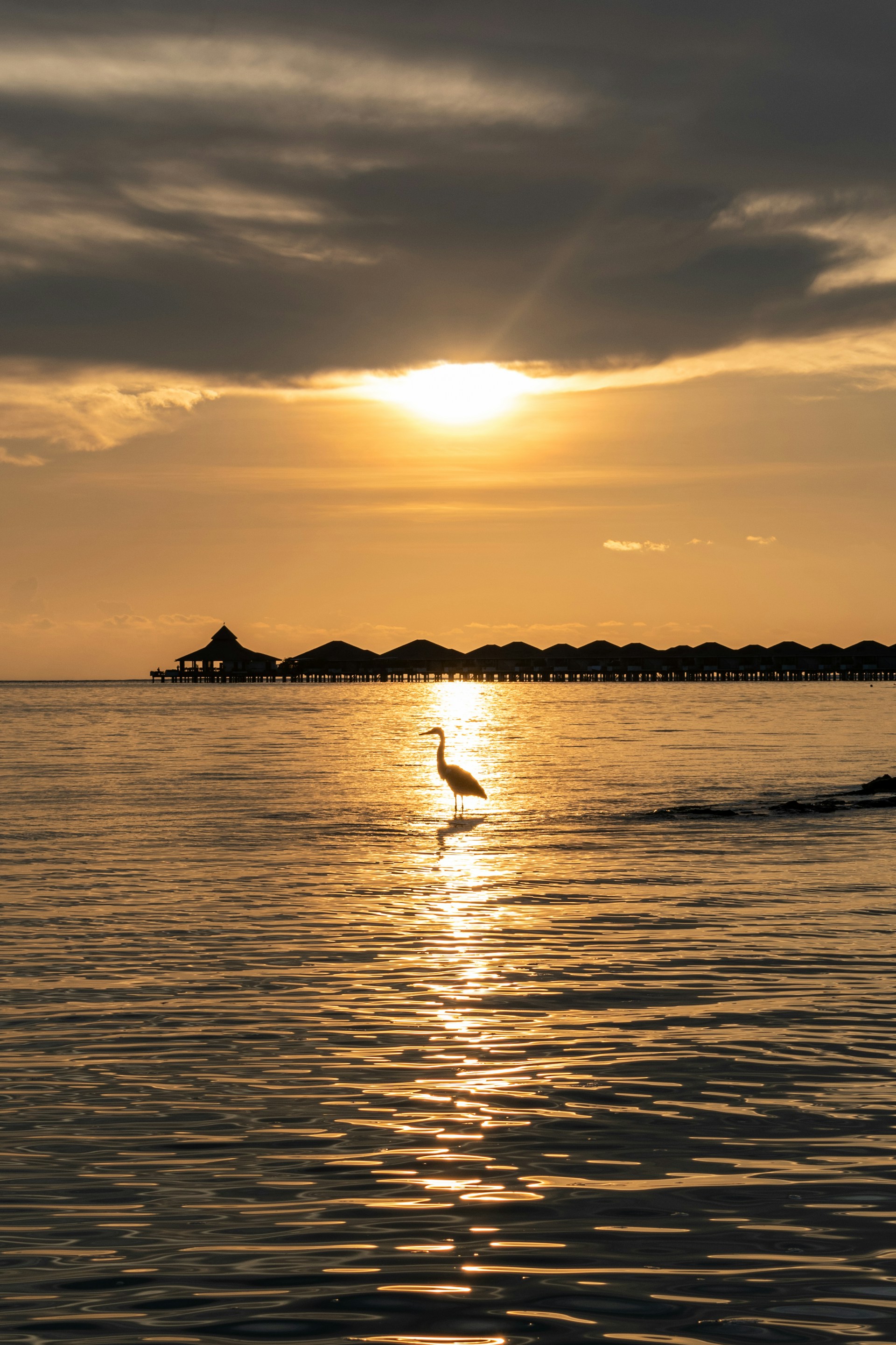 Baha standing on a serene beach in the Maldives, with turquoise waters stretching to the horizon under a golden sunset.