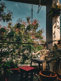 A cozy balcony adorned with hanging plants and greenery.