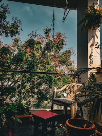A cozy balcony fitted with bamboo blinds and a pigeon net protecting the space from birds.