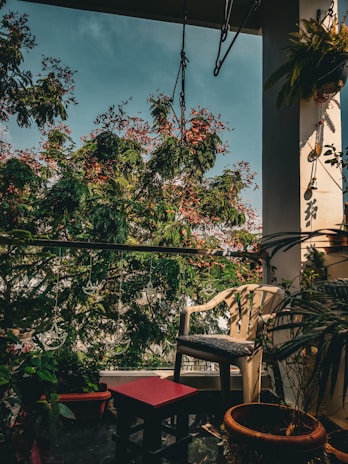A cozy balcony adorned with hanging plants and greenery.