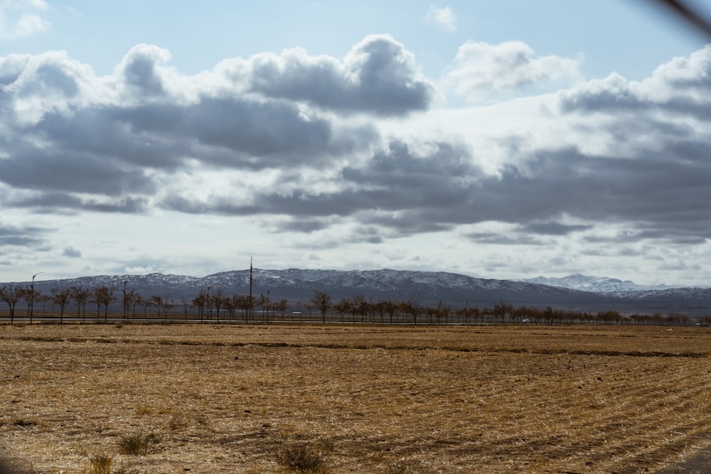 a field with a few trees and mountains in the background