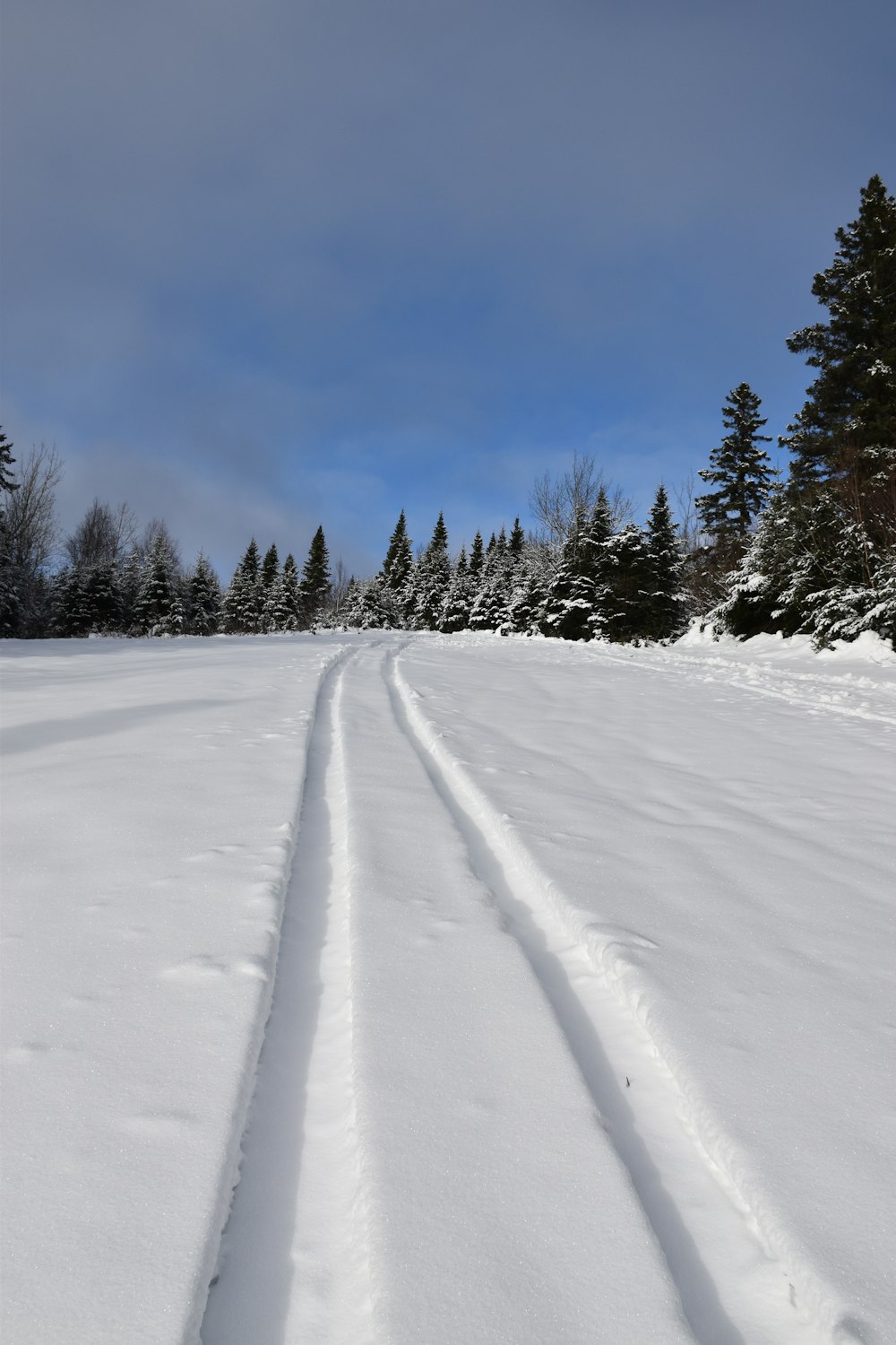 a snow covered field with trees in the background