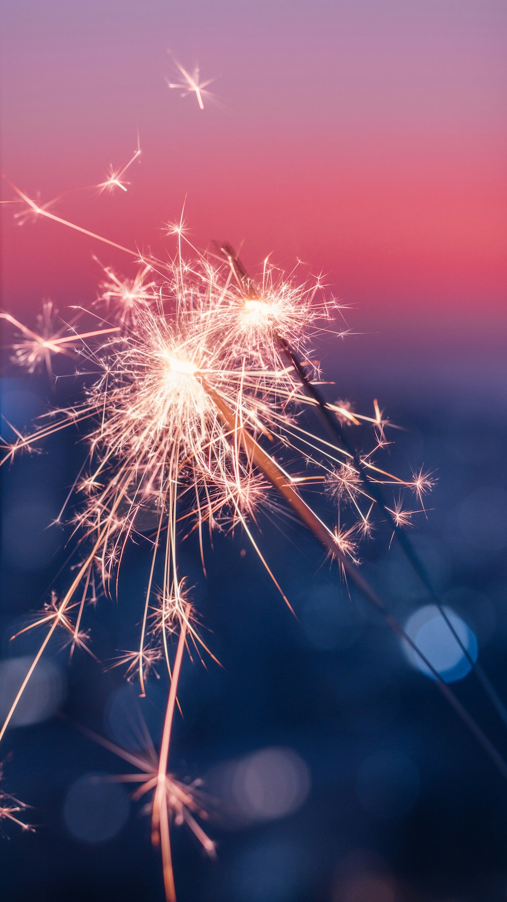 a close up of a dandelion with a blurry background