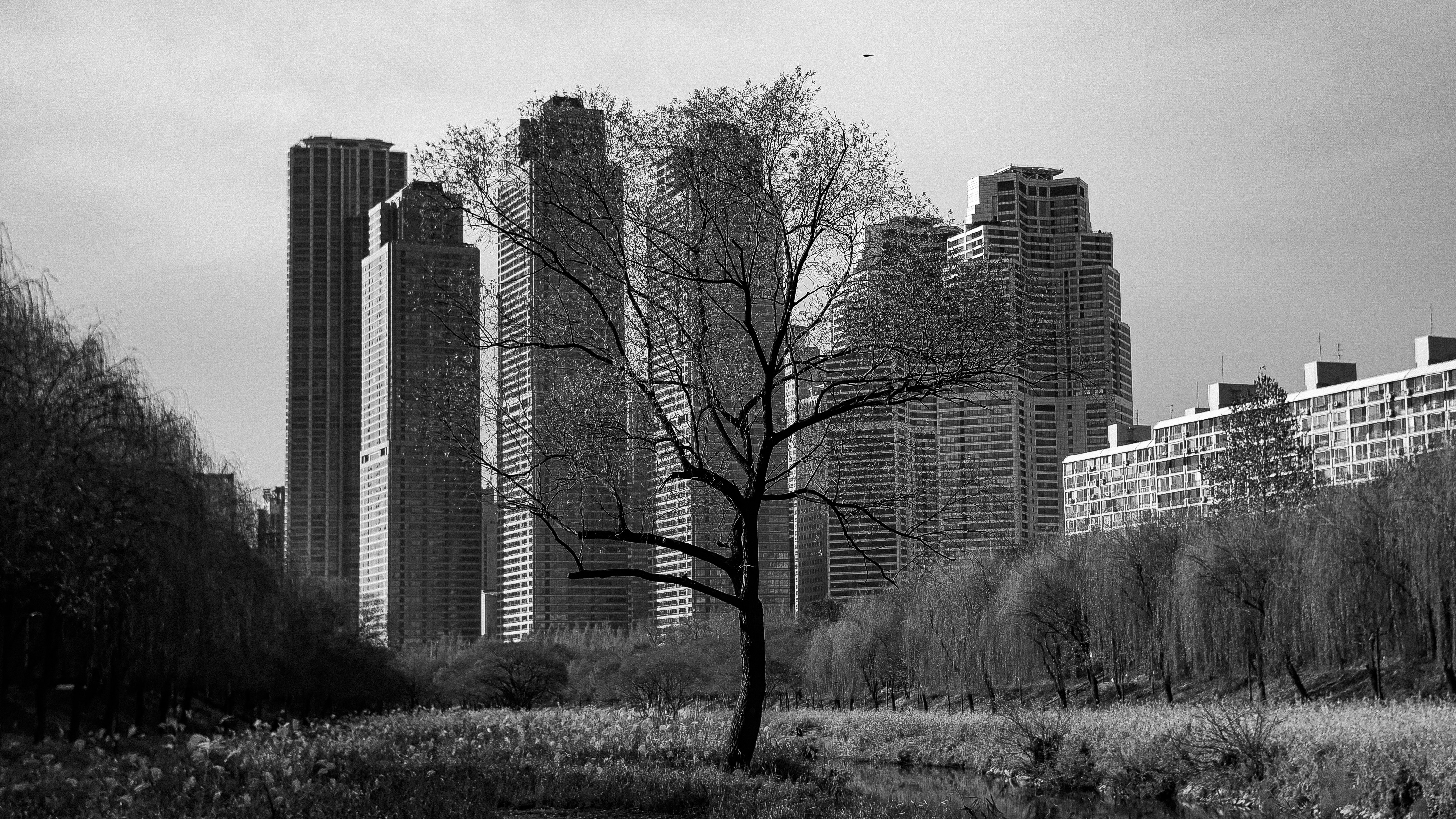 Photo by jinhan_photo