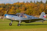 A vintage single-engine propeller aircraft is on a grassy field with trees in the background displaying autumn colors. The airplane has gray and blue markings with a small flag on the tail.
