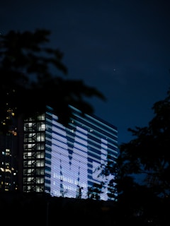 A tall building illuminated with bright blue and white lights displaying a large letter 'M'. The building is partially obscured by silhouetted tree branches and set against a dark night sky.