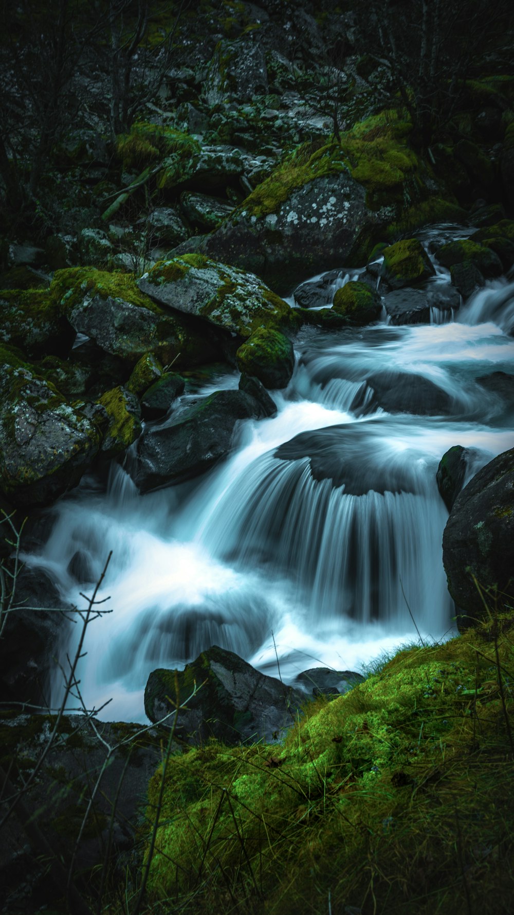 a stream of water running through a lush green forest