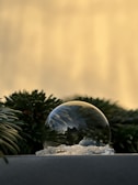 A clear bubble rests on a snowy surface with reflections of the surrounding environment visible within it. The background consists of blurred green foliage and a softly lit beige sky, creating a tranquil and serene atmosphere.