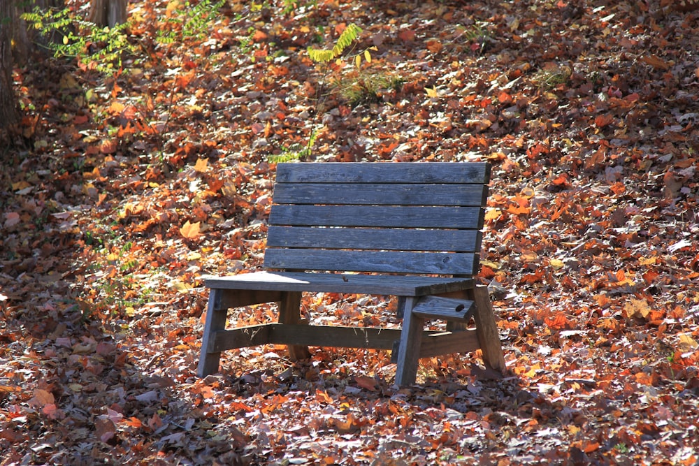 un banc en bois posé sur un tas de feuilles