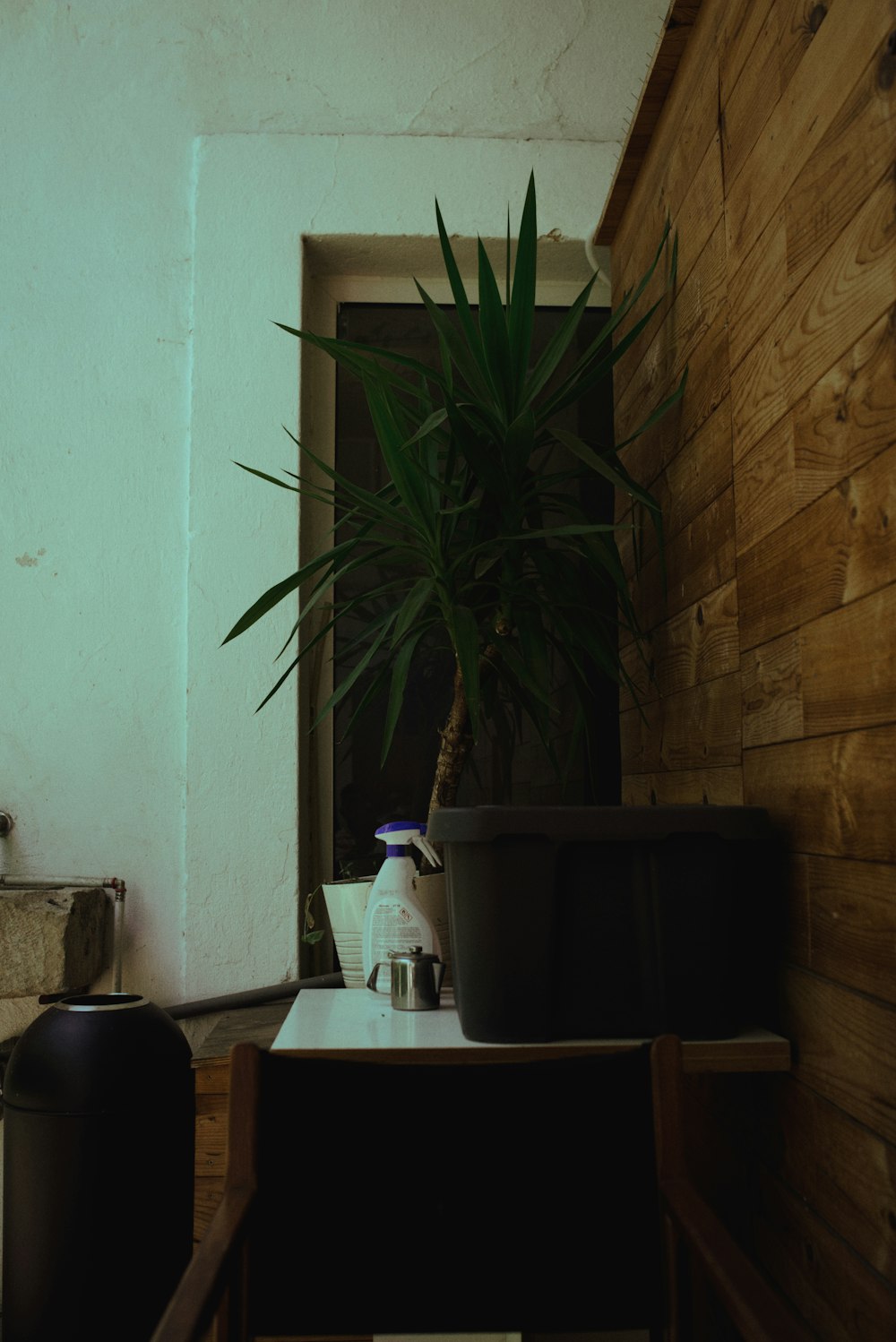 a potted plant sitting on top of a wooden table