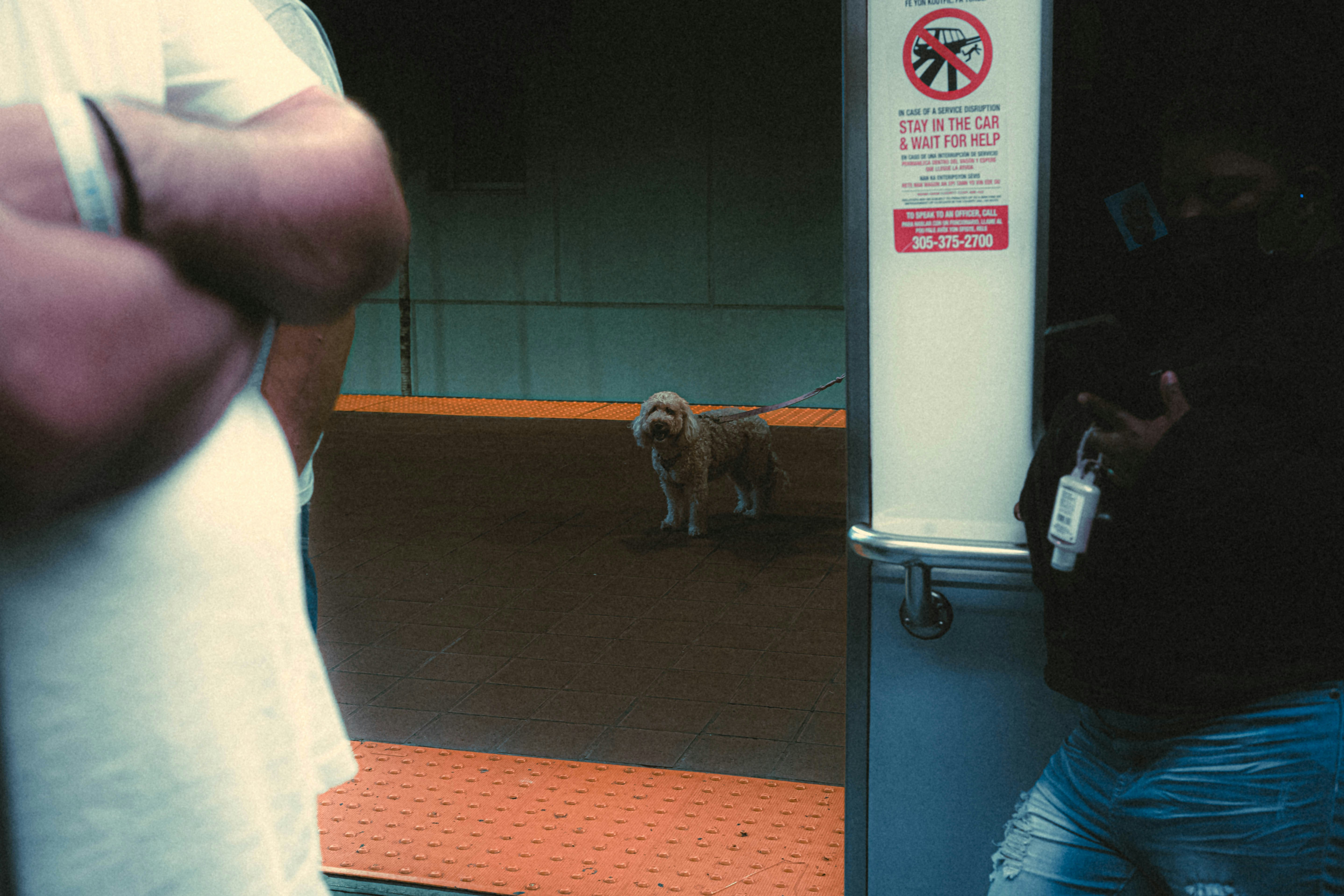 Hip Rotations: A Window into Mobility